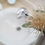 Hibiscus 빌라 *