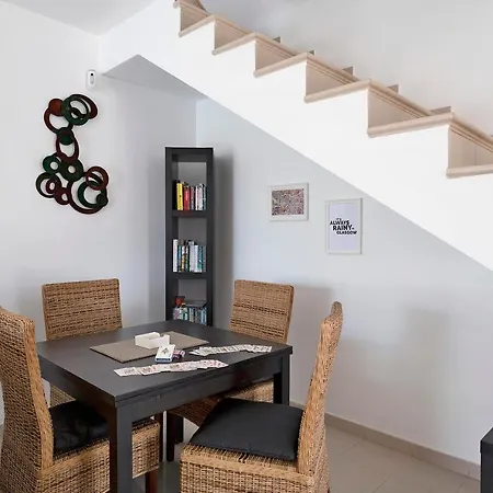 Hibiscus فيلة بلايا بلانكا